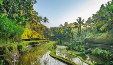 Ecco le 25 mete da visitare nel 2026, secondo gli utenti di TripAdvisor