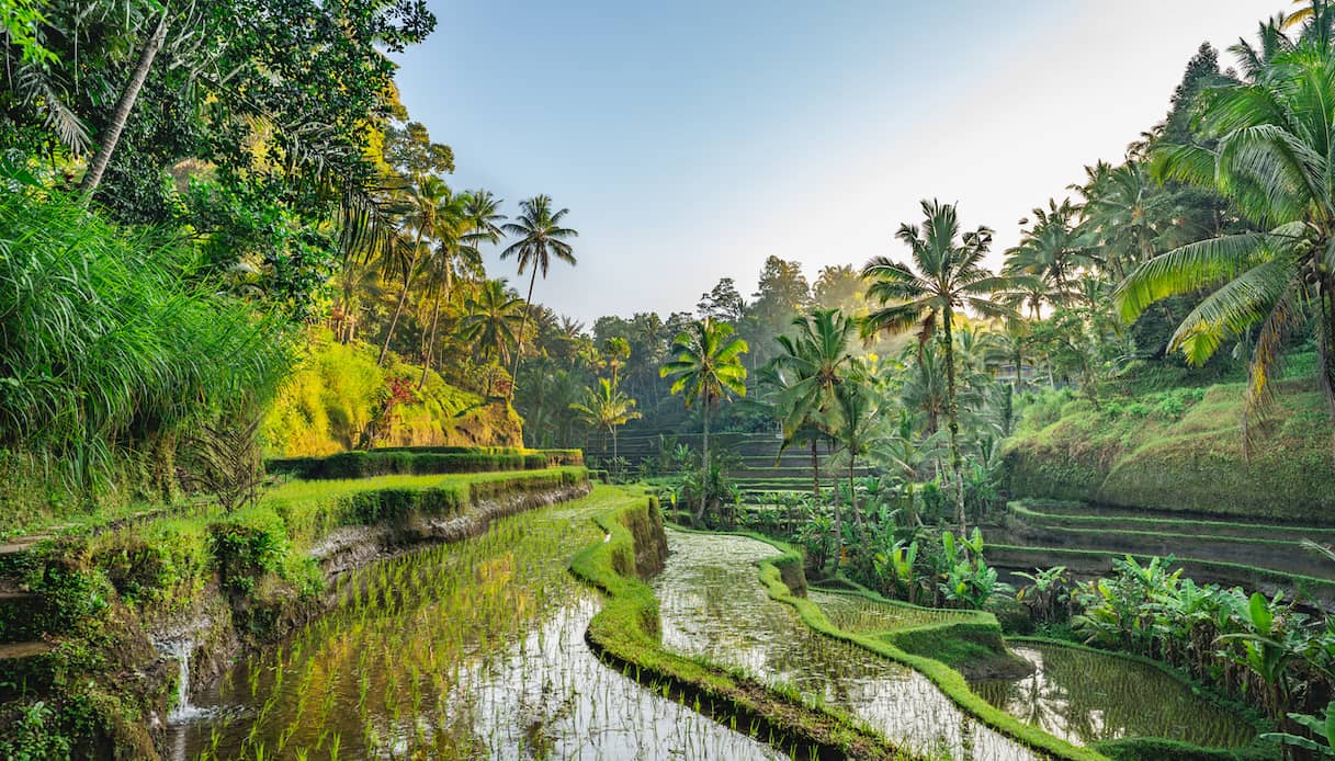 Ecco le 25 mete da visitare nel 2026, secondo gli utenti di TripAdvisor