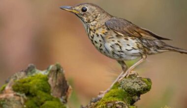 Regione Marche > News ed Eventi