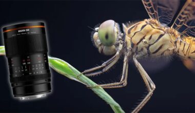 Il Brightin Star MF 60mm f/2.8 II 2X Macro si propone come alternativa economica per la fotografia ravvicinata, con rapporto di riproduzione 2:1.