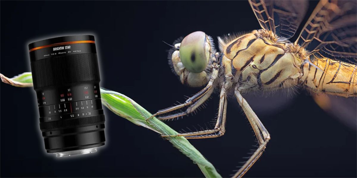 Il Brightin Star MF 60mm f/2.8 II 2X Macro si propone come alternativa economica per la fotografia ravvicinata, con rapporto di riproduzione 2:1.