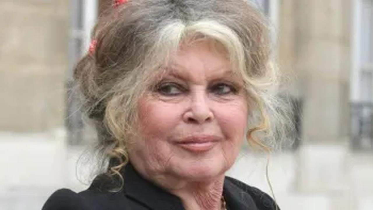 Brigitte Bardot, scoppia il caso sull'eredità: ecco chi se la piglia | In ballo 65 milioni di euro