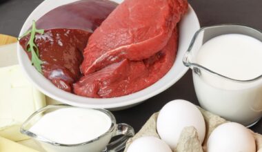 Usa, la nuova piramide alimentare di Kennedy Jr invita al consumo di carne rossa e latte