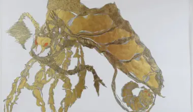 Atelier dell’errore in mostra a Bergamo