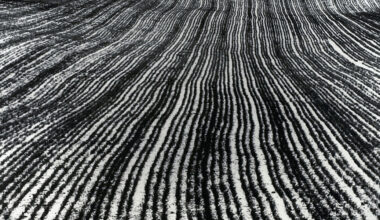 Un tuffo nella storia della fotografia in bianco e nero, da Mario Giacomelli a William Klein