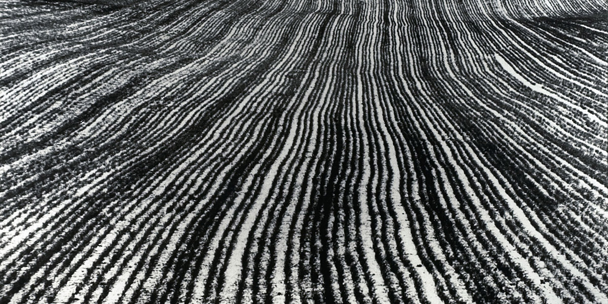 Un tuffo nella storia della fotografia in bianco e nero, da Mario Giacomelli a William Klein