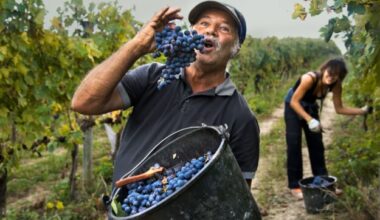 L’Umbria della tradizione nello sguardo di Steve McCurry, uno dei fotografi più famosi del mondo