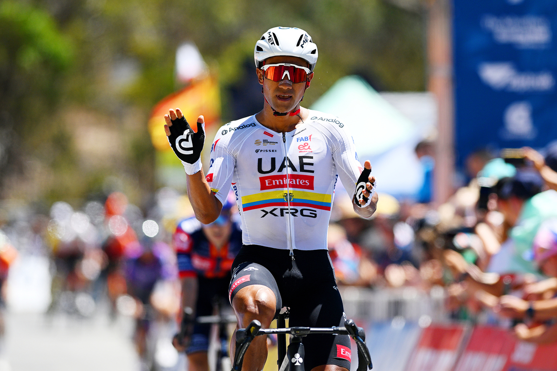 Tour Down Under, prende forma la startlist: attesi Narvaez, Brennan e 15 italiani