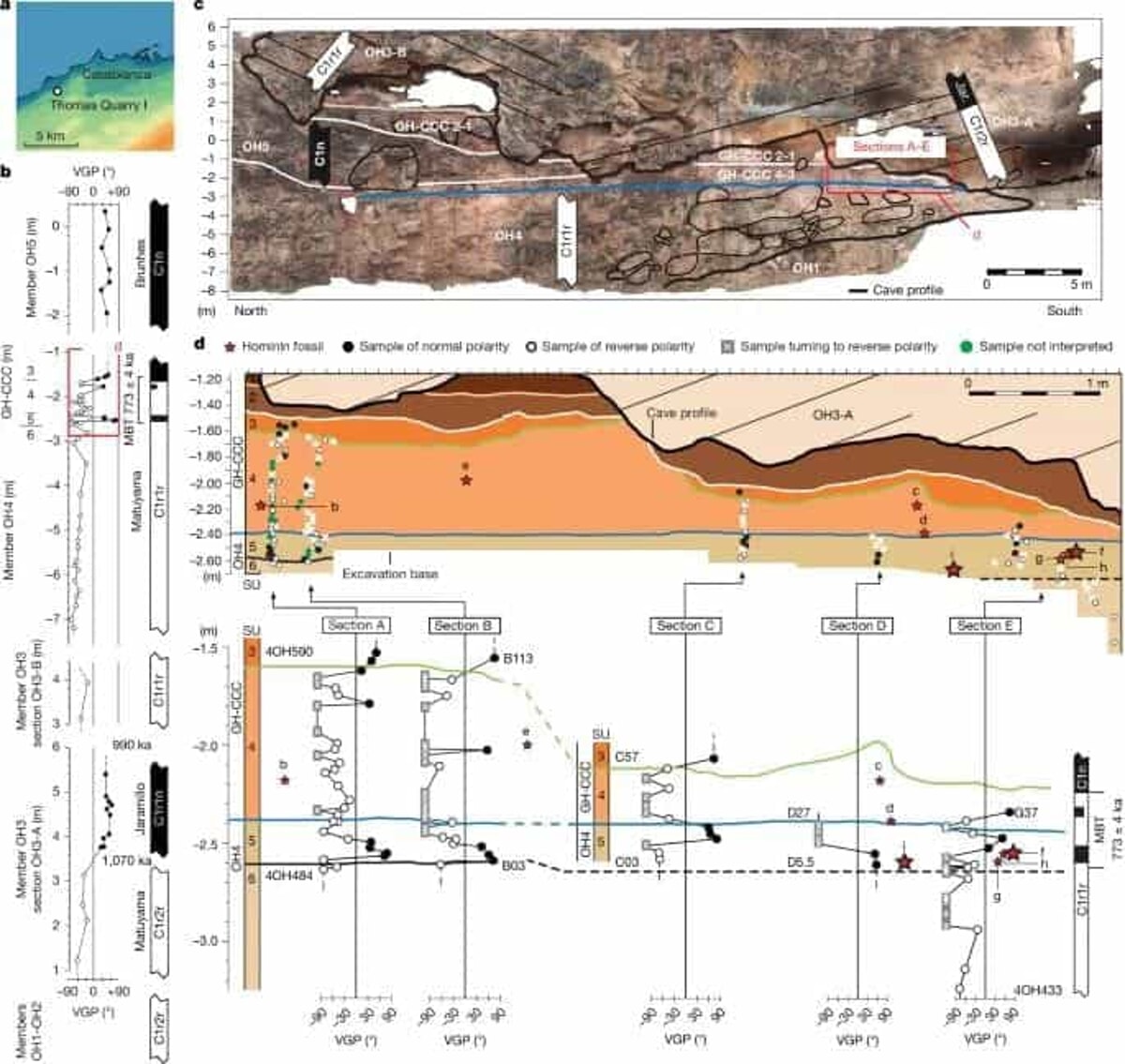 Rilievi e stratigrafia della Grotta Rilievi e stratigrafia della Grotta