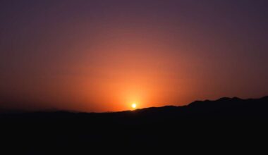 L’alba livida del 2026 - di Roberto de Mattei