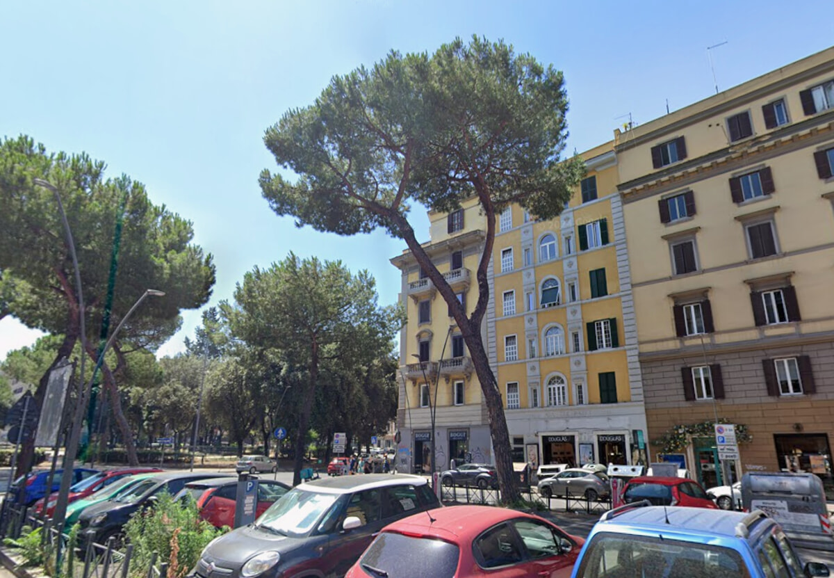 albero via appia - foto google maps 2024