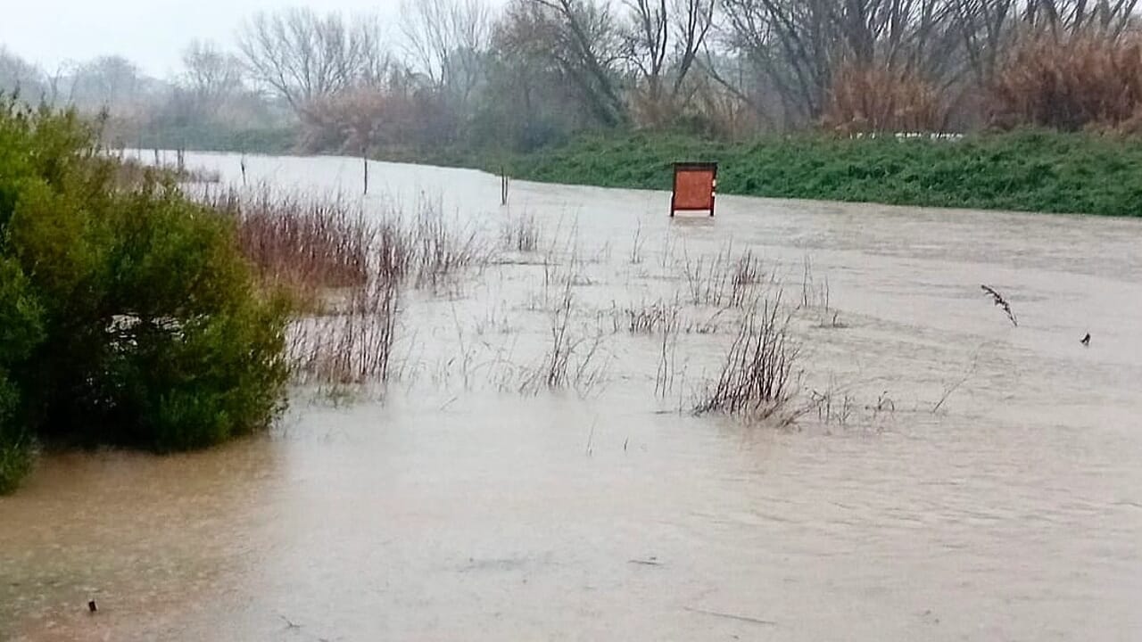 L'Aniene esonda a Roma: è allerta rossa. La Regione ai cittadini: "Evitate spostamenti"