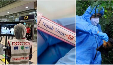 un centinaio in quarantena. “Letalità al 70%”. Contagio da pipistrelli e maiali