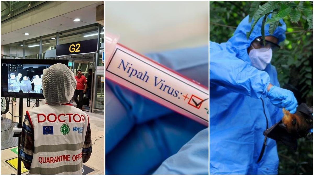 un centinaio in quarantena. “Letalità al 70%”. Contagio da pipistrelli e maiali