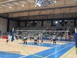 Seconda giornata del Bear Wool Volley 2026, i risultati in attesa della grande giornata di oggi FOTO Mattia Baù per newsbiella.it