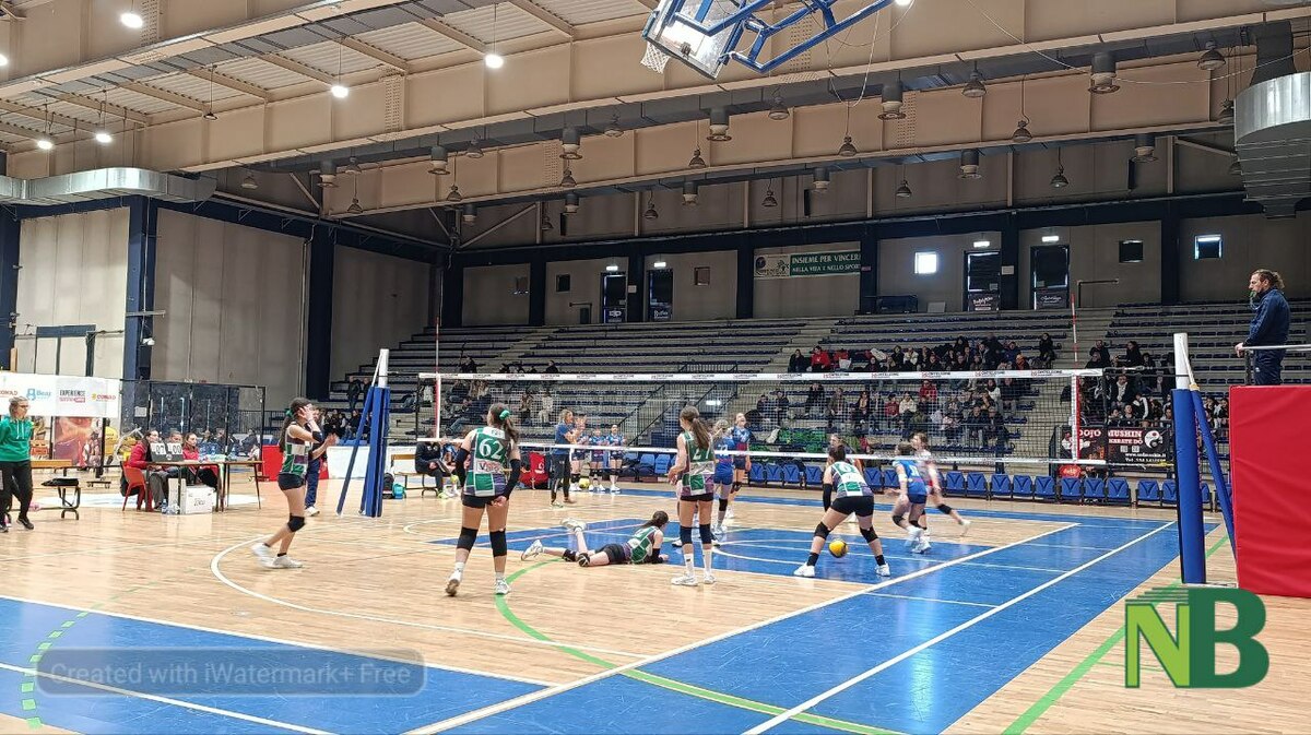 Seconda giornata del Bear Wool Volley 2026, i risultati in attesa della grande giornata di oggi FOTO - Newsbiella.it