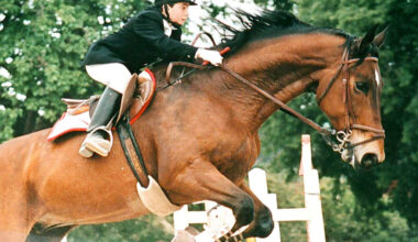 Il rapimento, l'acido, l'orrore. Ma Giuseppe Di Matteo non può morire