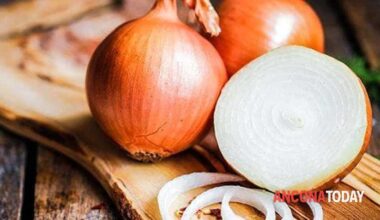 il calendario-meteo delle cipolle 2026