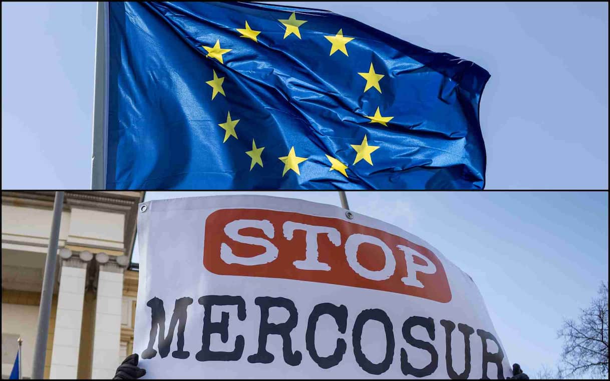 Accordo Ue-Mercosur, dagli allevatori al settore vitivinicolo: chi è favorevole e chi no