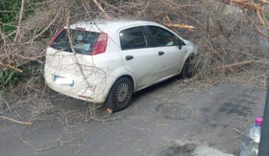 Albero crolla su un'auto in transito in via San Martino e sfonda il parabrezza: quattro persone in ospedale