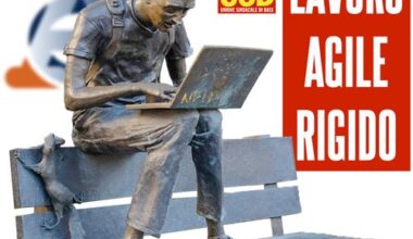 USB Pubblico Impiego - Agenzie Fiscali: Entrate