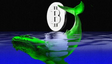 I “grandi accumuli di Bitcoin” delle balene erano semplici operazioni interne degli exchange, secondo i dati