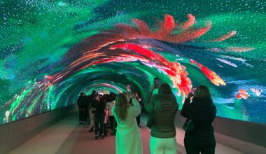 Copertina per Digital Art Gallery a Gorizia, la critica di Bullian: «Record europeo, ma per lo spreco di risorse pubbliche»