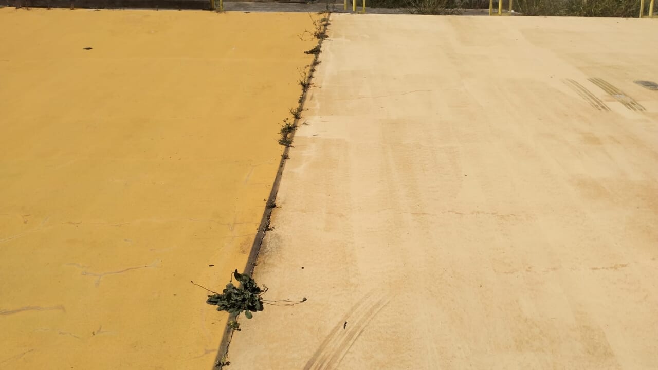 "Quando verrà restituita la casa al ciclismo?"