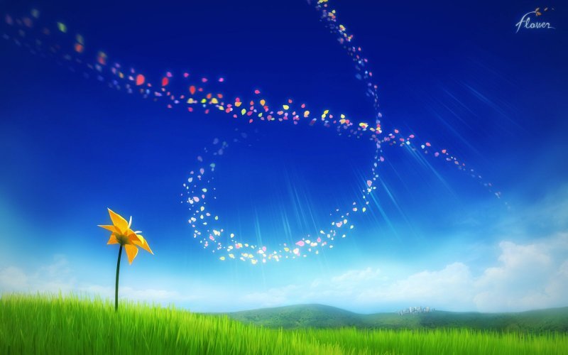 Gli studiosi hanno preso in analisi le capacità rilassanti di Flower, confermandole.