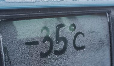 Perché gelo e freddo rischiano di bloccare le auto con motore diesel