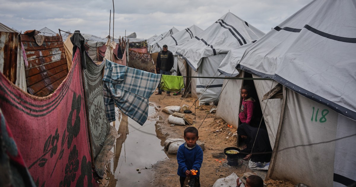 "Italia chieda a Israele di sospendere il divieto a Gaza"