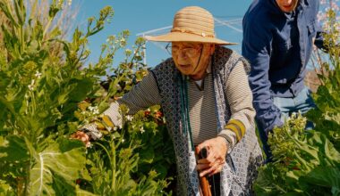 L'alimento che non mangiano i centenari è questo