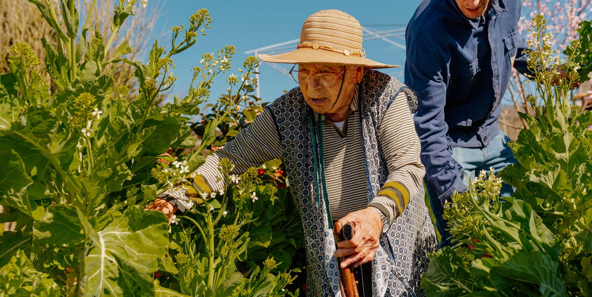 L'alimento che non mangiano i centenari è questo