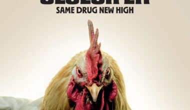 GLUECIFER - Same Drug New High