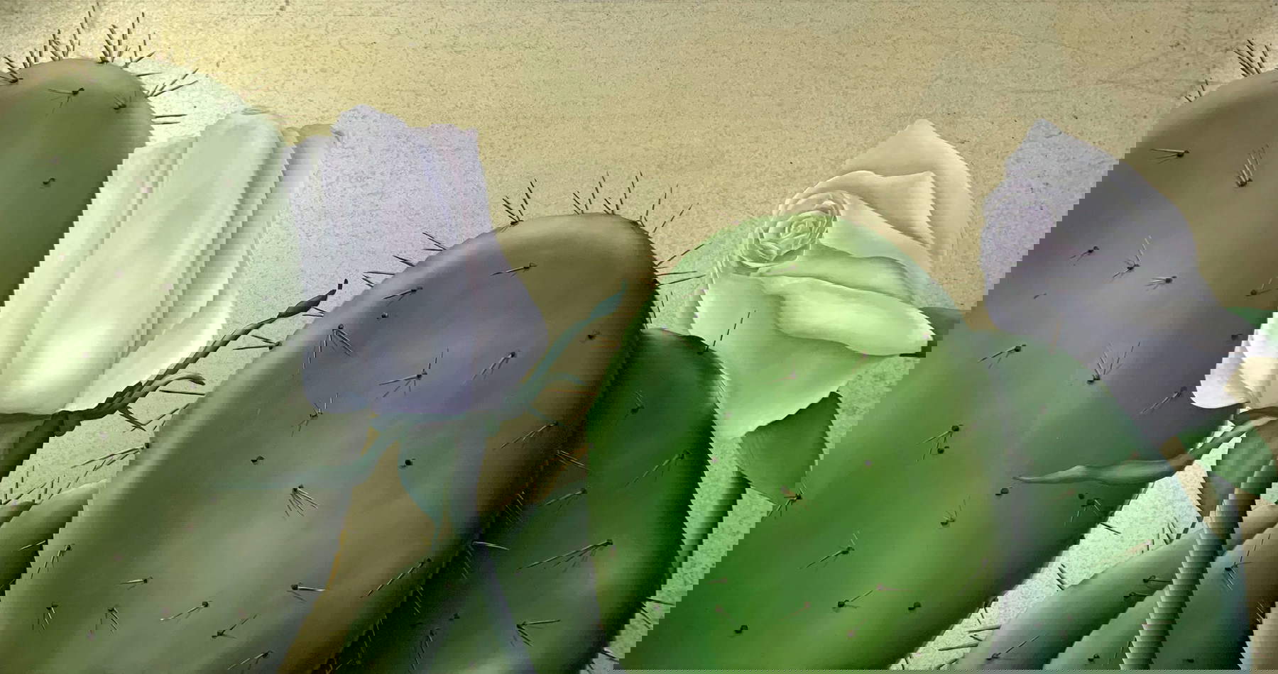 Guglielmo Aschieri, Untitled (2009; olio su lamiera, 90x170 cm)