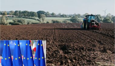 Mercosur, primo via libera dall'Ue: cosa prevede l'accordo