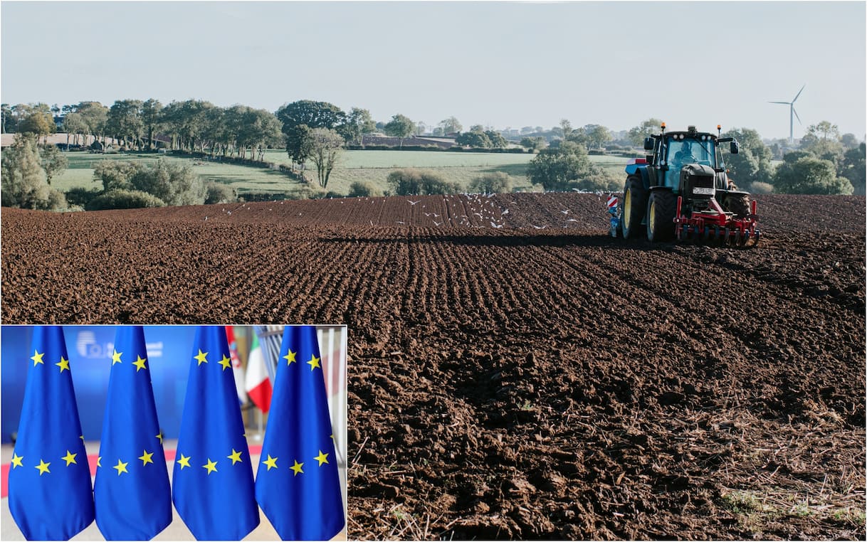 Mercosur, primo via libera dall'Ue: cosa prevede l'accordo