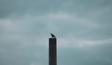 I confini del Partito democratico dopo l’intervista di Bettini sulla Russia