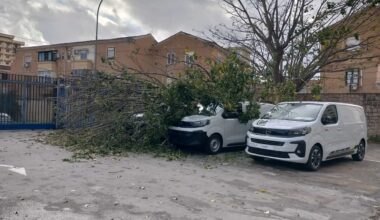 alberi e lampioni caduti in diverse zone