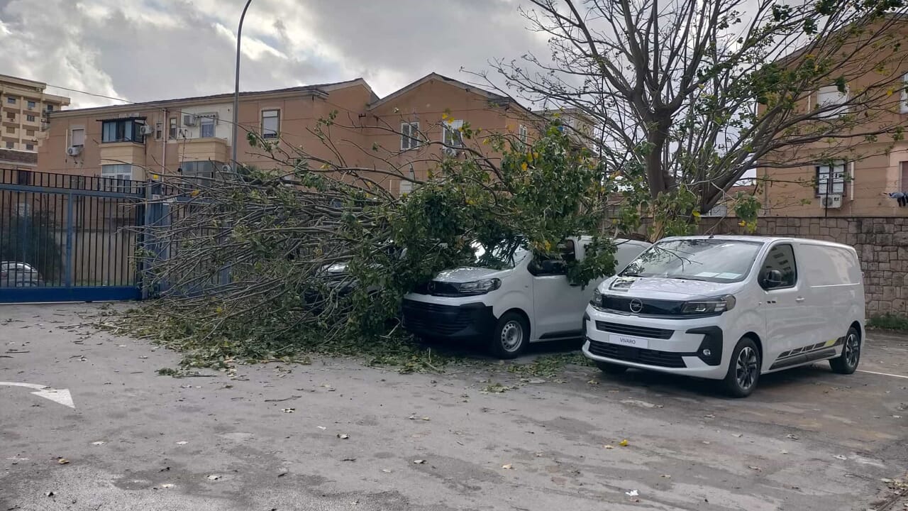 alberi e lampioni caduti in diverse zone