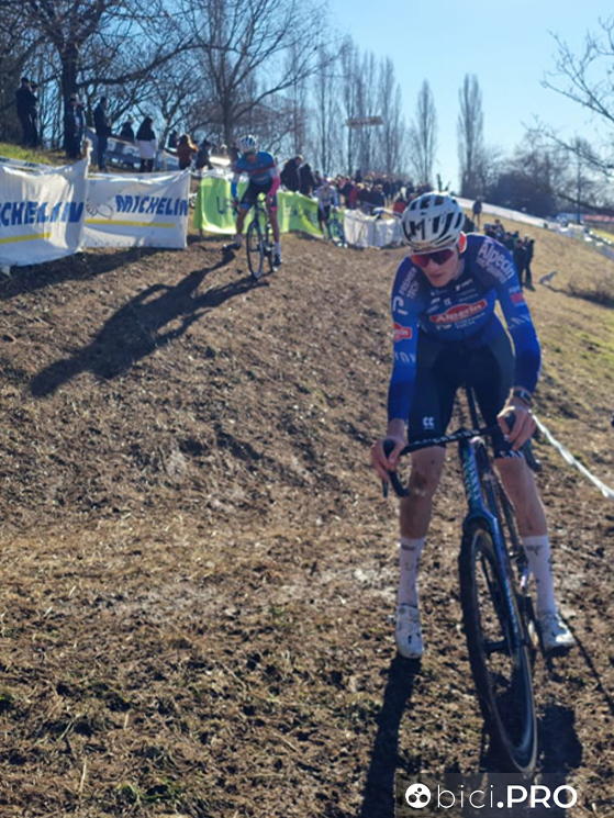 Stefano Viezzi, Alpecin-Premier Tech
