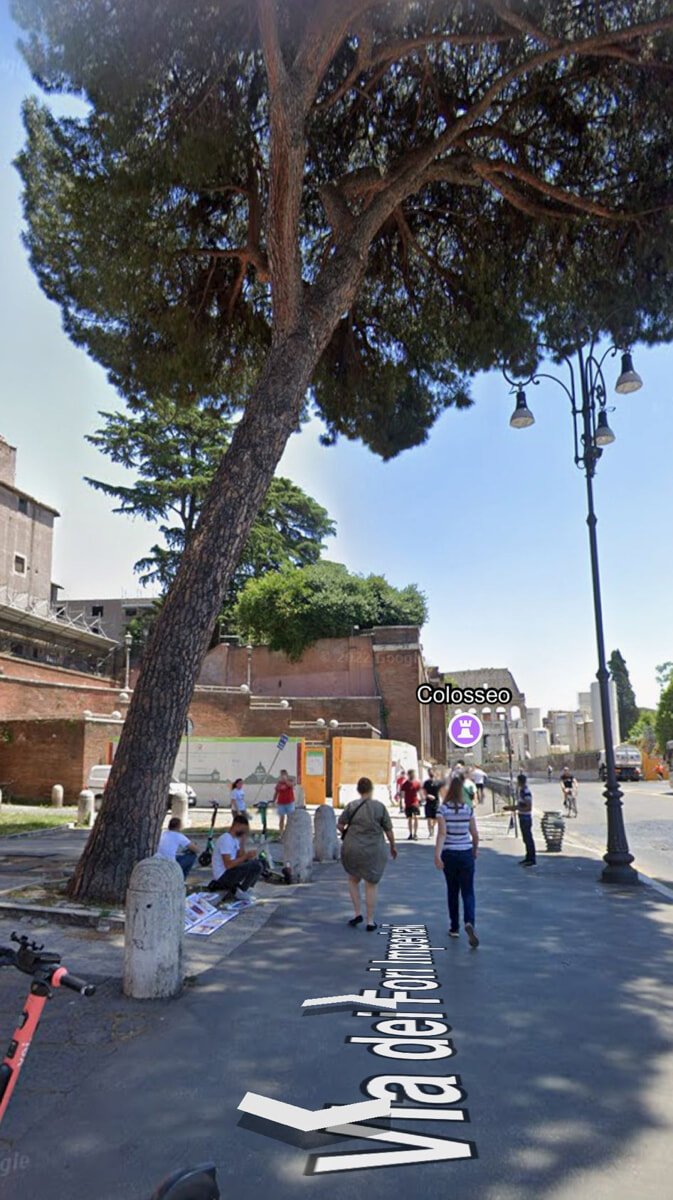 L'albero caduto. Foto da google streetview
