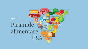Cosa prevede la nuova piramide alimentare Usa. Si ribaltano le regole: più carne rossa e latticini. E la salute?