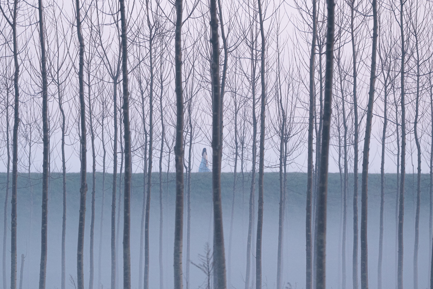 La Grazia e l'eleganza: le location del nuovo film di Sorrentino