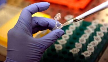 Tumore al pancreas, l'annuncio dalla Spagna: "Cancro eliminato nei topi"