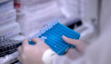 Da un virus gigante che infetta le amebe indizi sull'origine della vita: lo studio