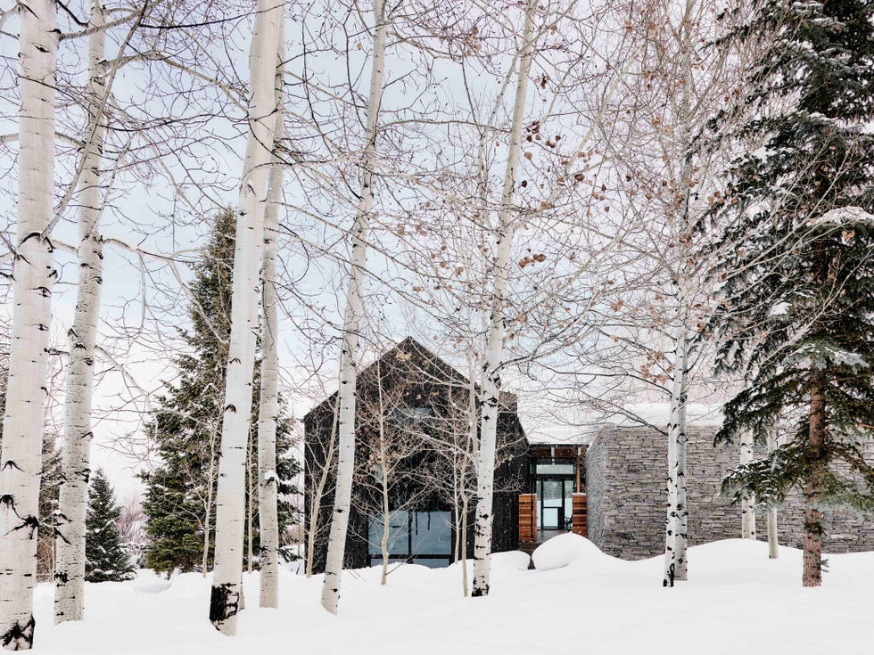 Lake Flato Aspen house lake flato aspen house exterior