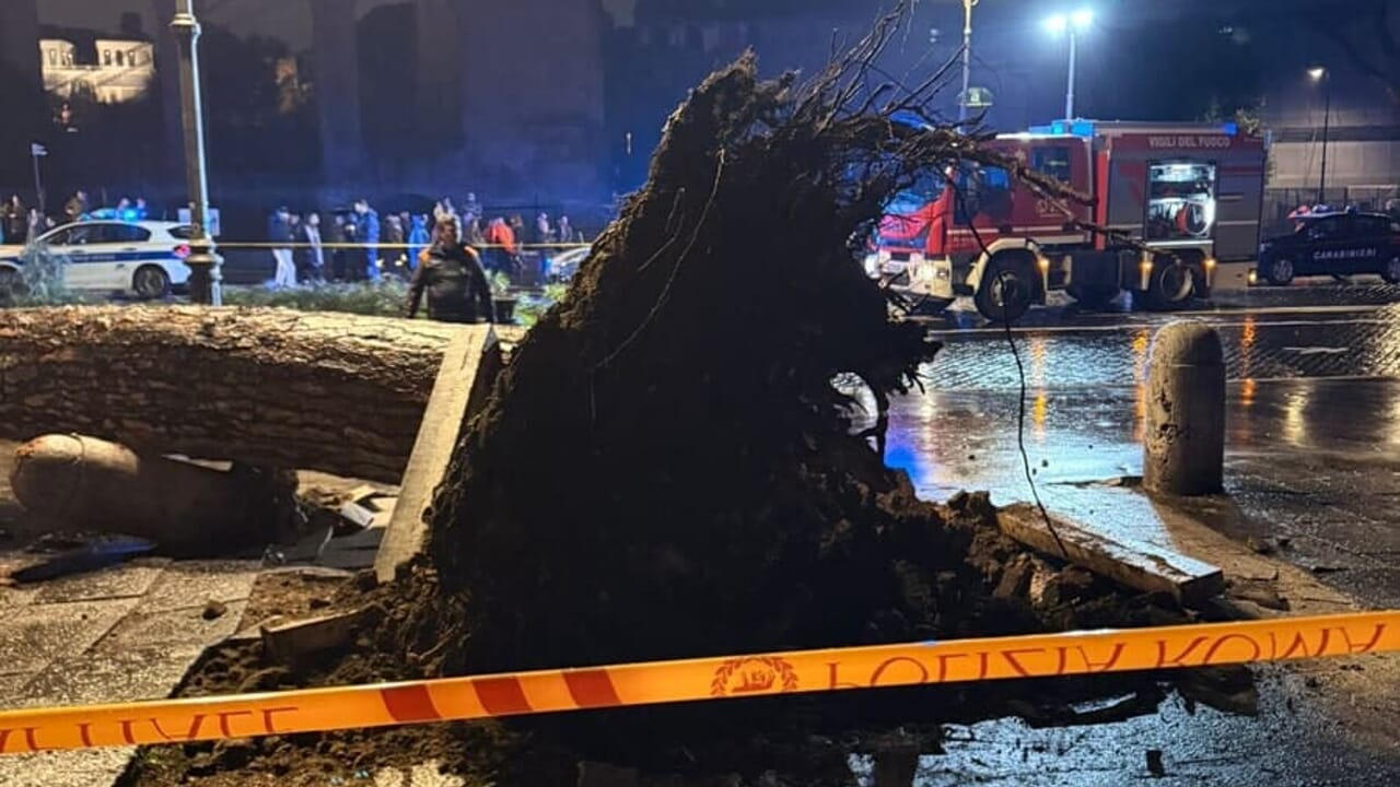 strade chiuse, allagamenti e alberi caduti. Tutte le informazioni