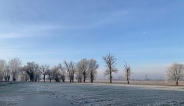 Sculture di ghiacchio nella campagna intorno a Milano