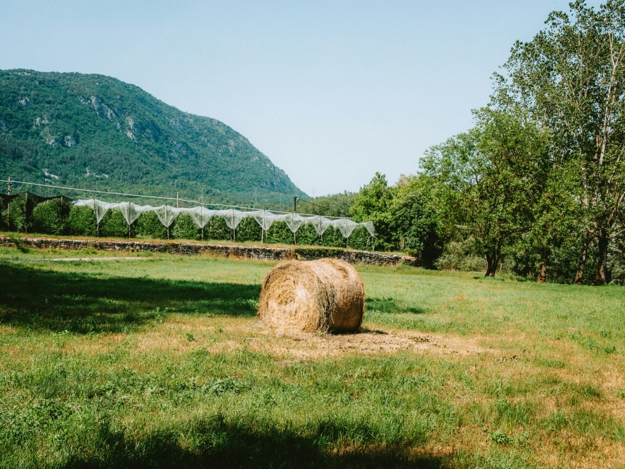 Il governo Meloni mantiene consenso puntando sul quieto vivere